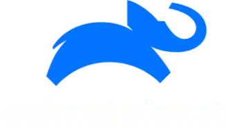 IPTV SUBSCRIPTION